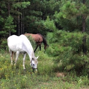 Meet your Posher, Tabytha